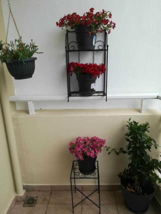 Apartment Ey Zhn Néa Khilí Zewnętrze zdjęcie